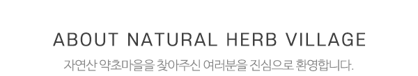 자연산 약초마을_상단제목