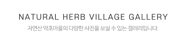 자연산 약초마을_중간제목